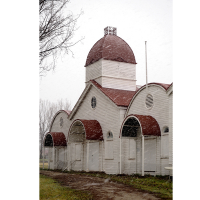 Photo Cards by Local Photographer Susan Jarman