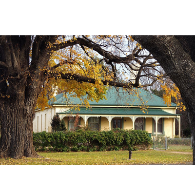 Photo Cards by Local Photographer Susan Jarman