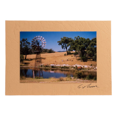 Photo 13 - photo gift card by Susan Jarman